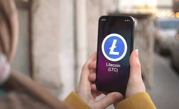 5 Reasons Why You Should Consider Litecoin as a Payment Option For Your E-commerce Business